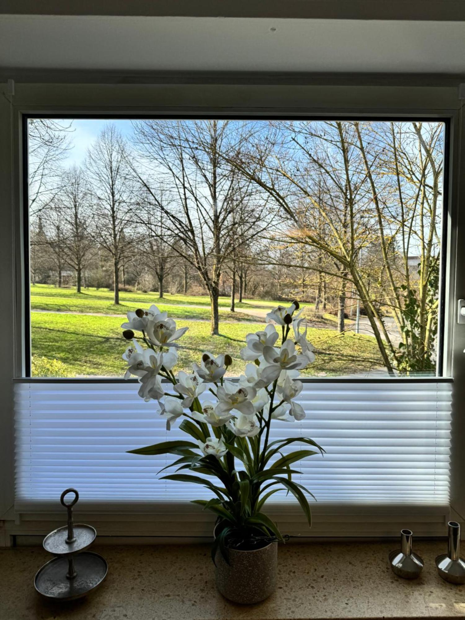 Feel Like Home 3 Biberach an der Riß エクステリア 写真
